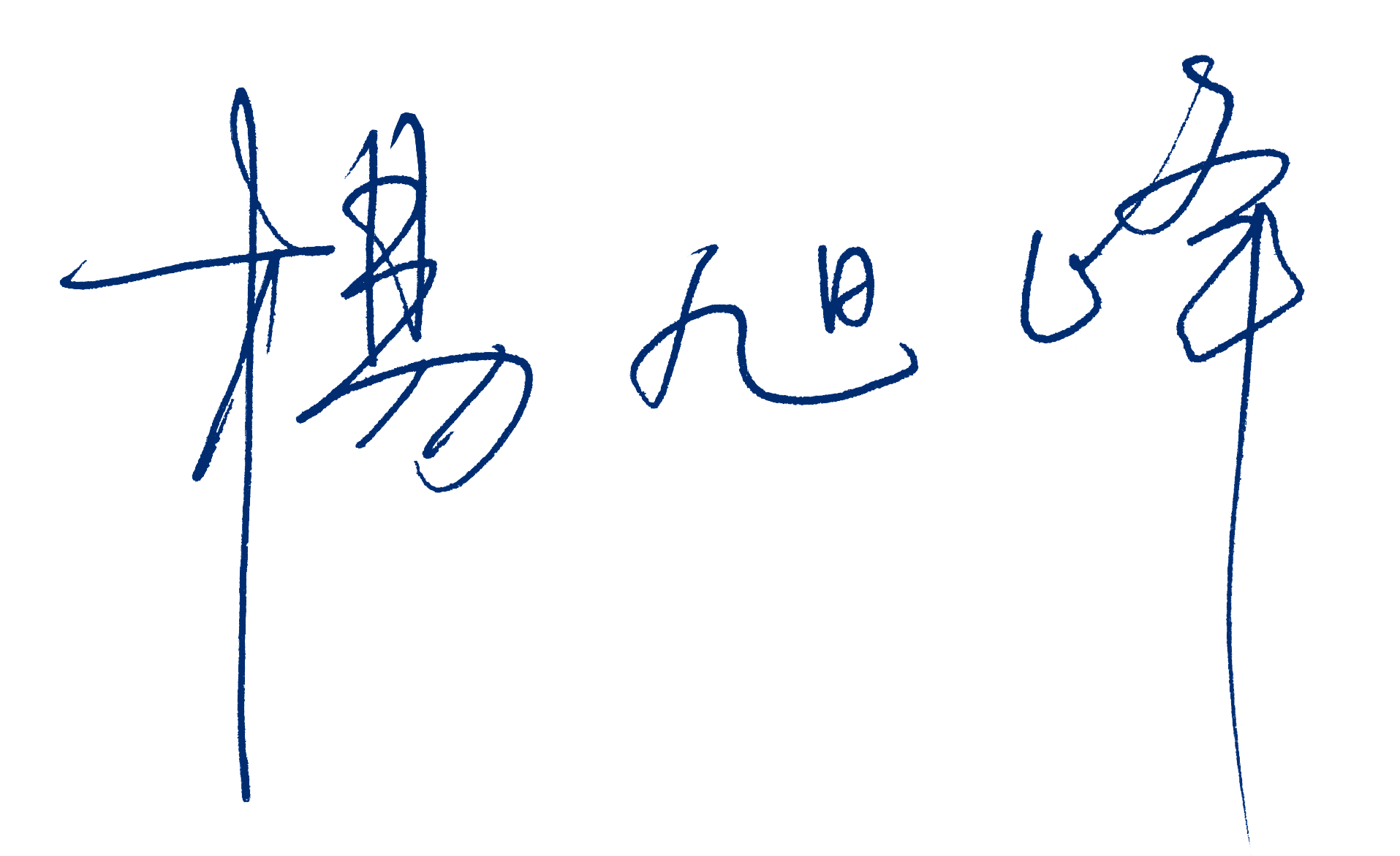 Presidente Xufeng Door